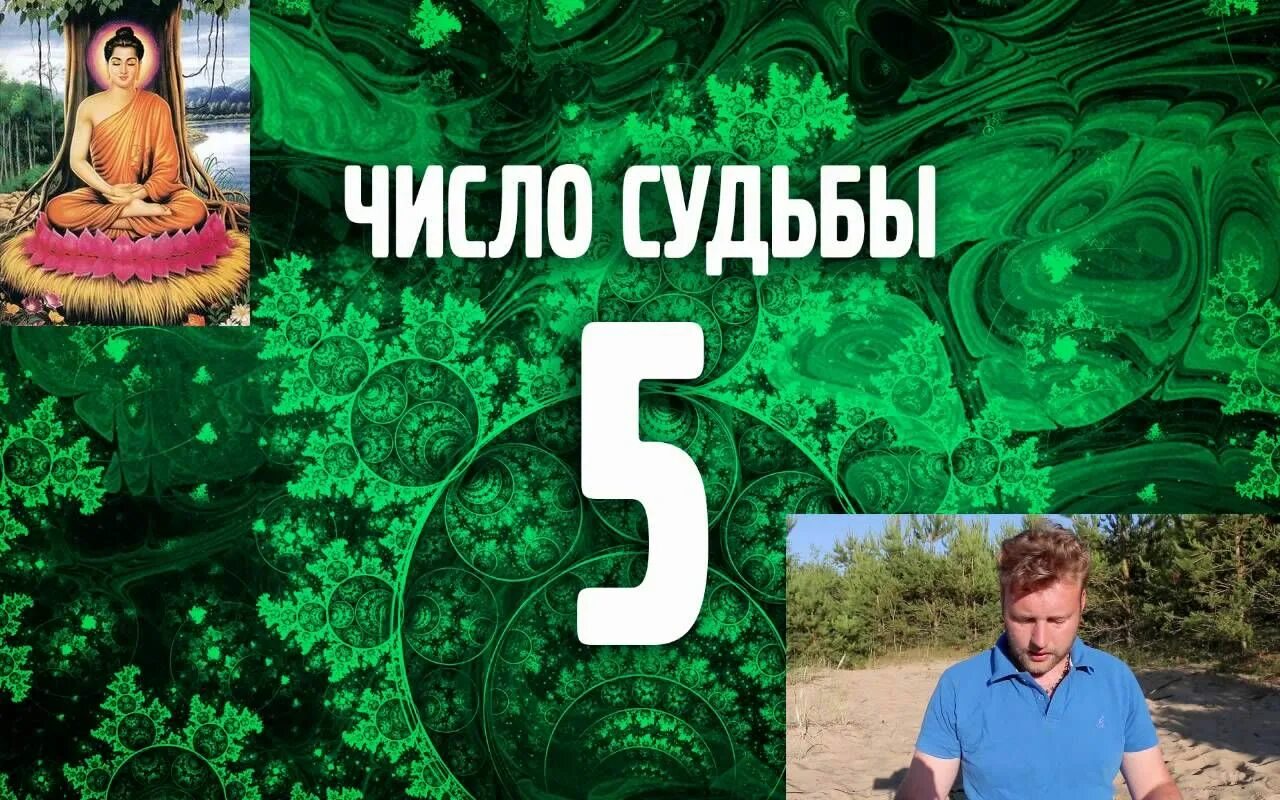 Совместимость 5 и 5 в нумерологии. Цифра судьбы. число судьбы пять. число судьбы 5 в нумерологии. 5 ведическая нумерология.