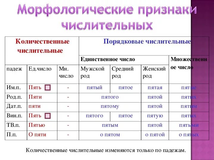 Как отличить числительные от других. Количественные числительные. Признаки числительного. Количественные чичлительн. Число числительных.