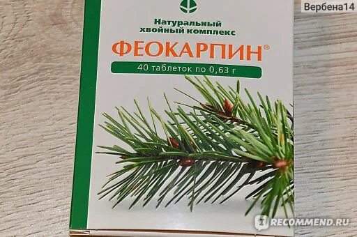 Хвойный комплекс. Феокарпин БАД. Лекарства на основе хвои. Феокарпин таблетки. БАД на основе хвои.