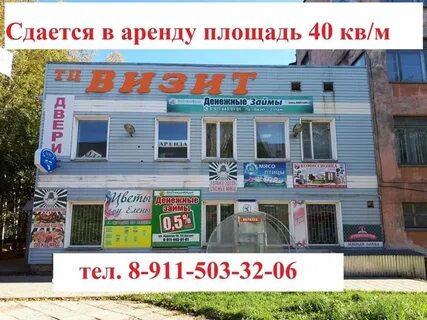 Объявления сокол
