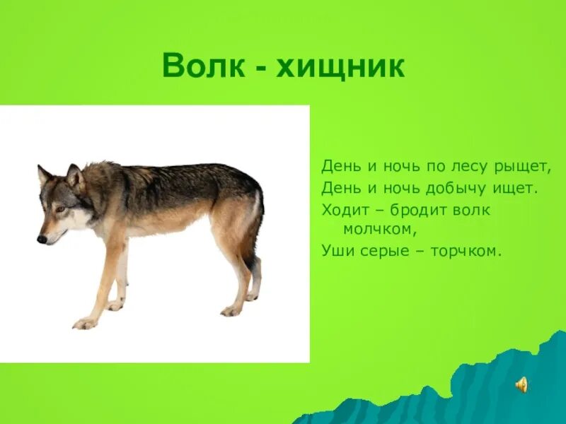 Конспект про волка. Волки рыщут. День и ночь по лесу рыщет день и ночь добычу ищет. Текст лесные звери