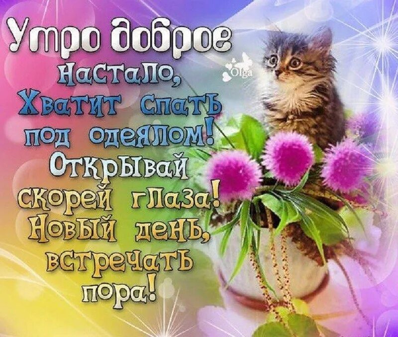 Улыбнись хорошего утра