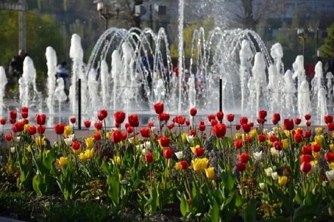 Парка 1 мая ростов на дону