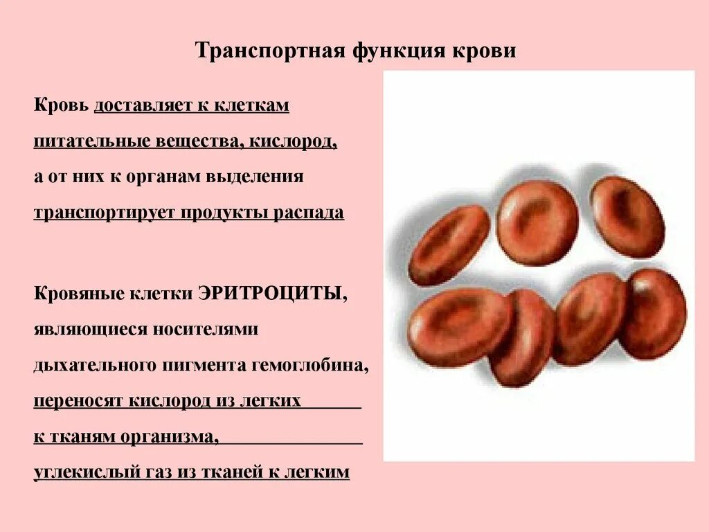 В чем проявляется транспортная функция. Транспортная функция крови. Кровь транспортная функция крови. Питательные вещества в крови. Транспортная функция эритроцитов.