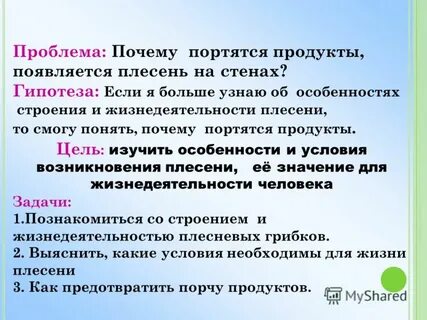 Условия возникновения плесени проект