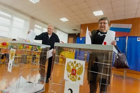 Местные выборы