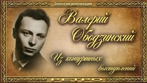 Вечер портрет