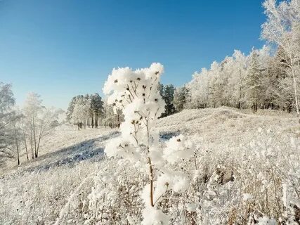 Зима морозная песня