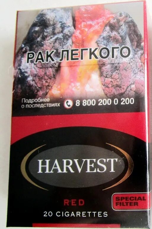 Купить сигареты с вкусами. Сигареты Harvest KS Red (Cherry) МРЦ 220 Р.. Сигариллы Харвест. Сигареты Harvest Харвест KS Red вишня. Немецкие сигареты Харвест вишневые.