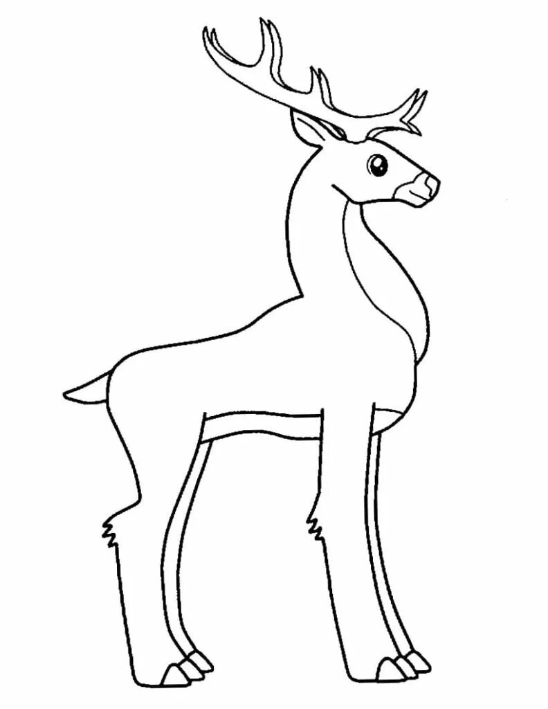 Deer Skull Coloring Page in PDF - Download Template.net Skull coloring pages, De