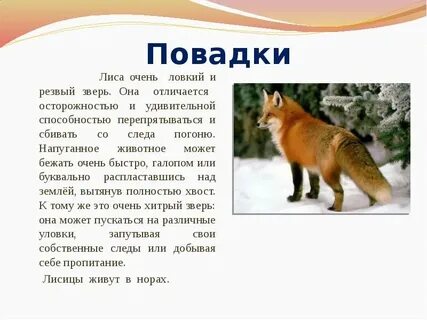 Что такое повадки