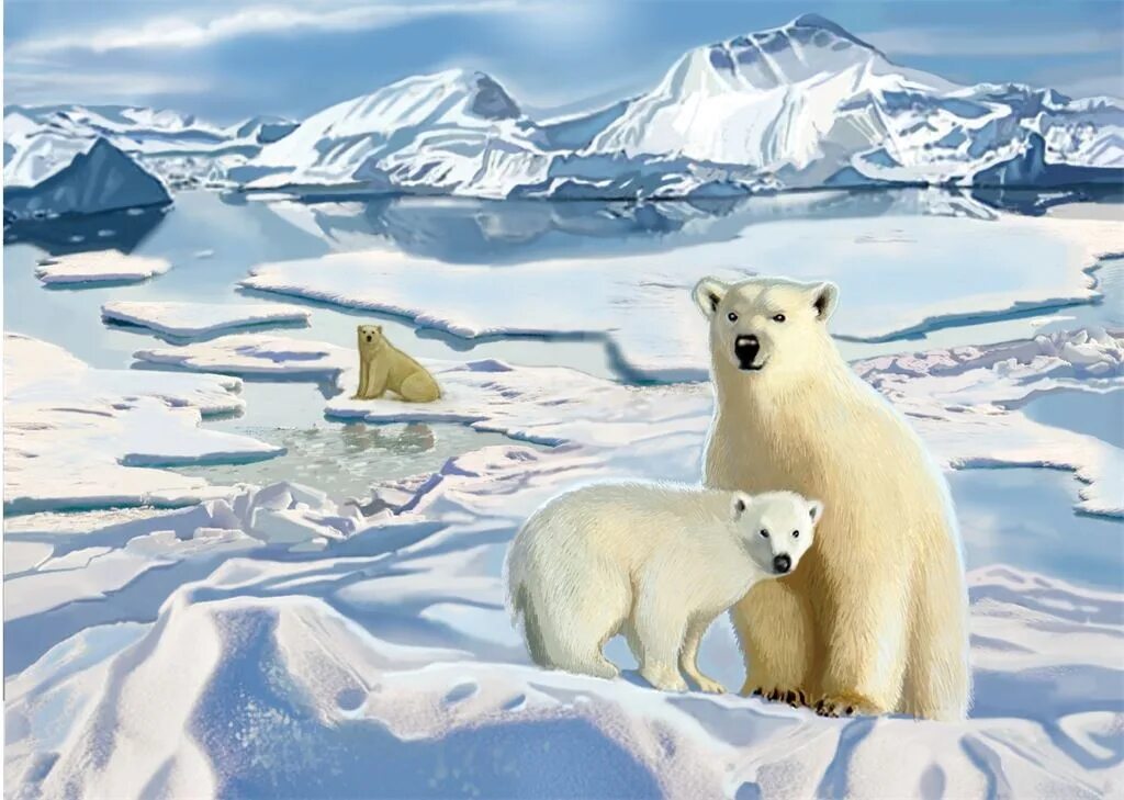 Обитатели полюсов. Арктика Антарктика Антарктида. Арктика Антарктика Антарктида для детей. Северный полюс Арктика. Северный полюс Арктика и Антарктика.