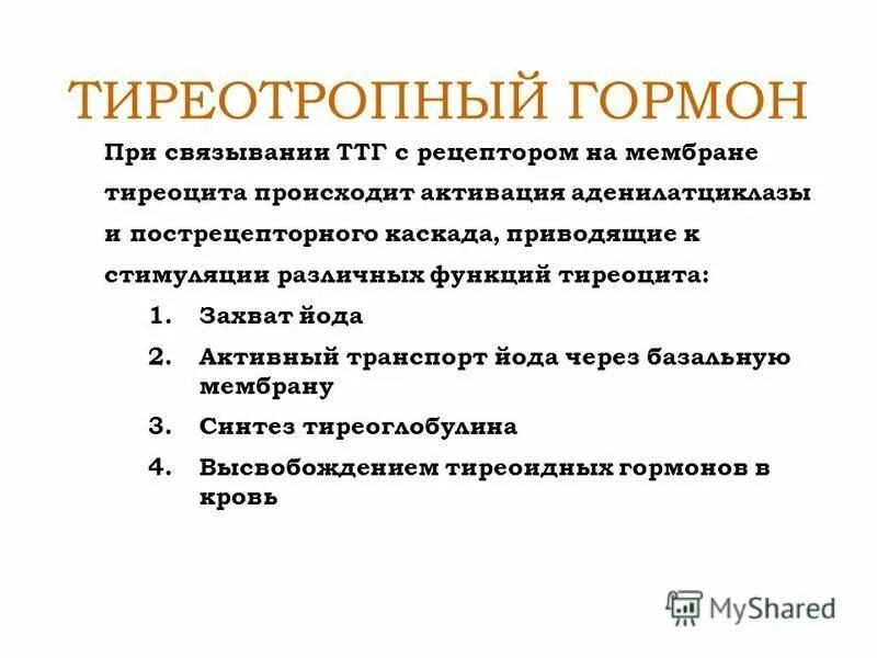 Гормон тиреотропный за что отвечает у женщин