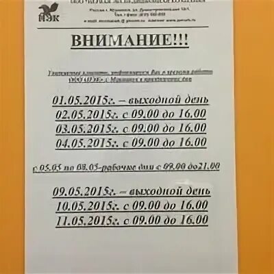 Пэк телефон график работы