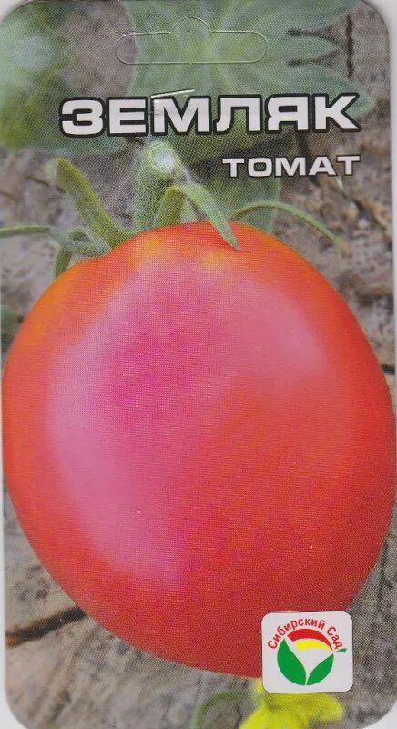 томат rio grande italy. томат земляк сибирский сад. томат земляк отзывы фото урожайность характеристика и отзывы. томат земляк семена алтая. аэлита томат земляк.