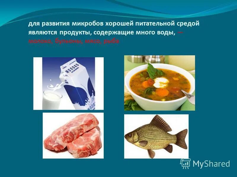 Микроорганизмы почвы микробиология. Влияние рн среды на развитие микроорганизмов. Микроорганизмы в кислотной среде. Микрофлора воды микробиология кратко. Условия благоприятные для развития микроорганизмов.