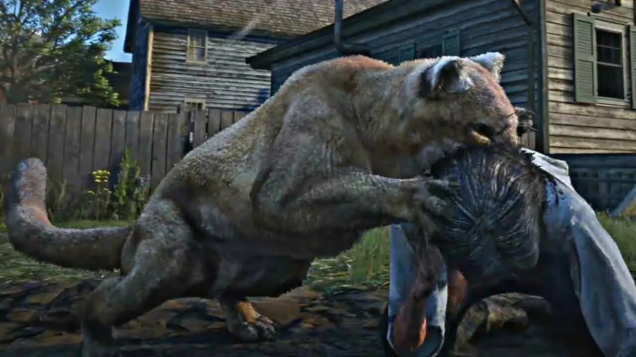 Rdr пума. Rdr 2 пума. легендарная пума в рдр 2. dead redemption 2 пумы.