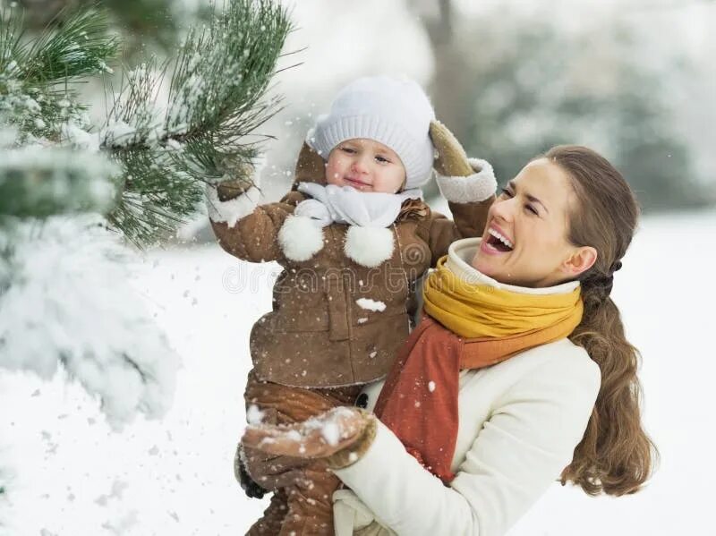 Более 211 200 работ на тему "Winter Sun Snow Cold": стоковые фото, картинки и из