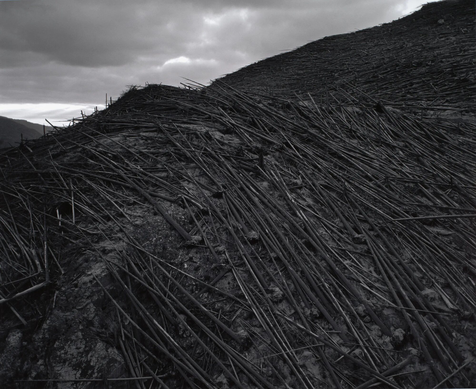 Tunguska event