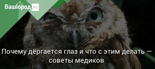 Почему несколько дней дергается глаз. Дергается глаз. почему дергается глаз. почему дергается глаз и что делать. почему дергается глаз причины.
