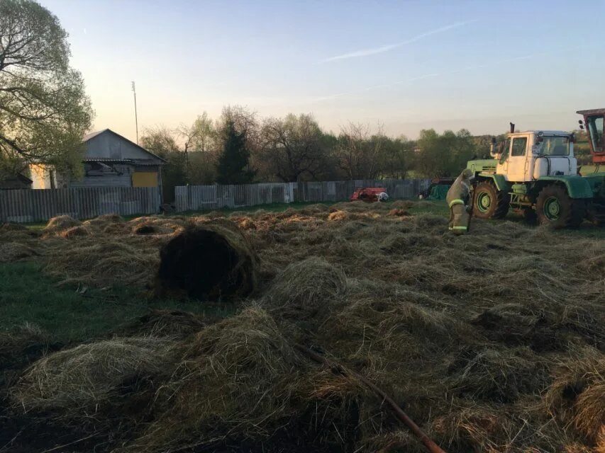 дровосечное колпнянского района орловской области. погода в дровосечном. дровосечное колпнянского р-на орловской обл. село дровосечное орловская область. дровосеченская школа колпнянского района.