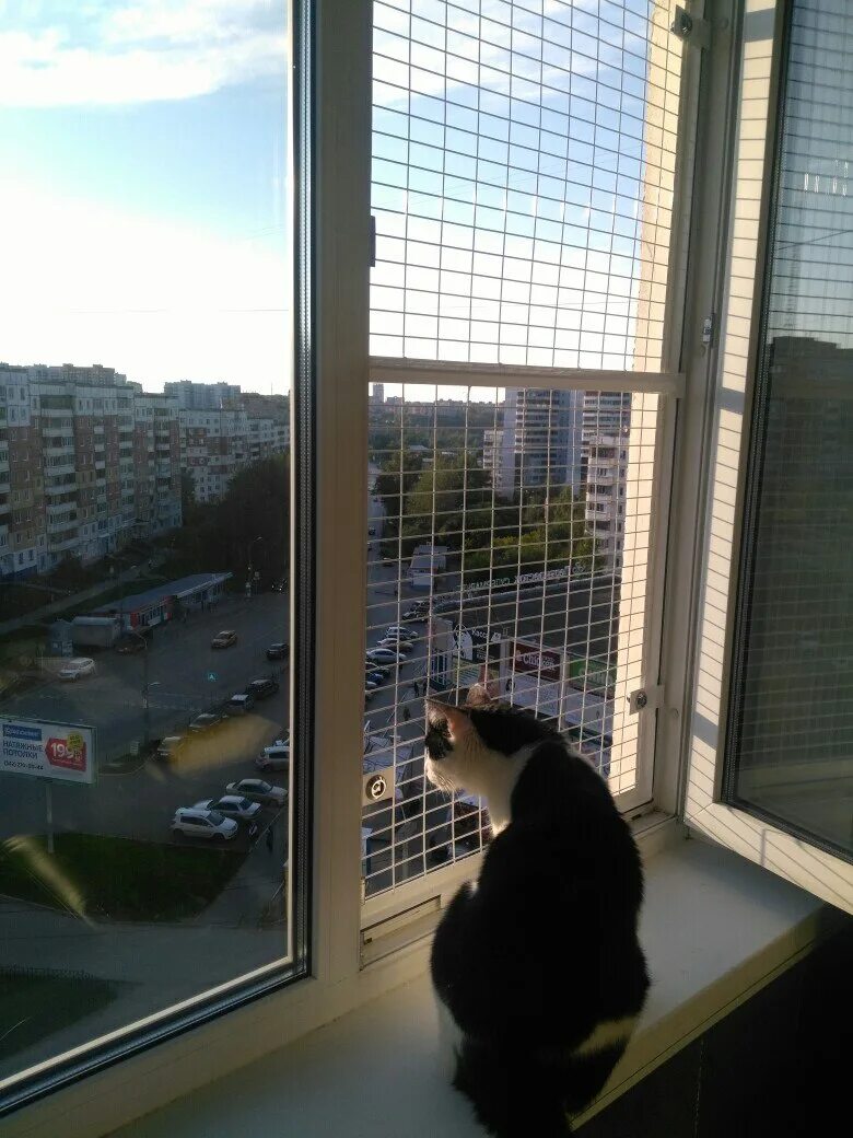 Сетка антикошка. Антикошка 2942. Сетка антикошка. Антикошка полотно мс. Москитная сетка антикот.