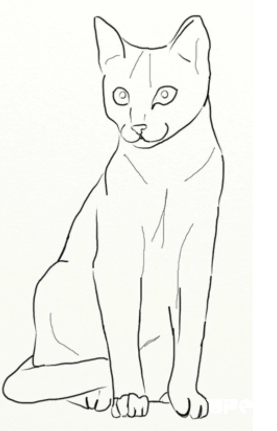 Как нарисовать сидящую кошку