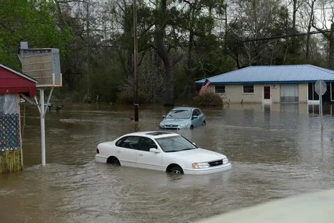 Flooded area