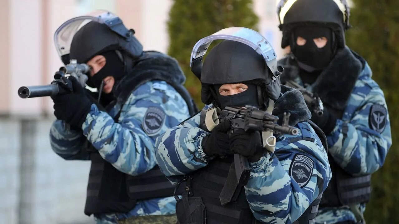 Вакансии в силовых структурах. Российские силовики. Вакансии в силовых структурах. Обои на телефон новинки силовых структур. Вакансии в силовых структурах.