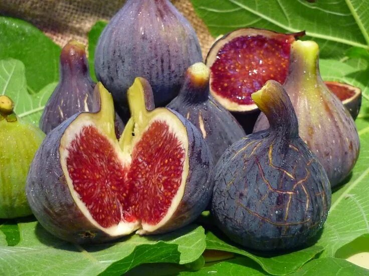 Fig-uring Out Fresh Figs: What to Buy, How to Store and the Best Ways to Enjoy D