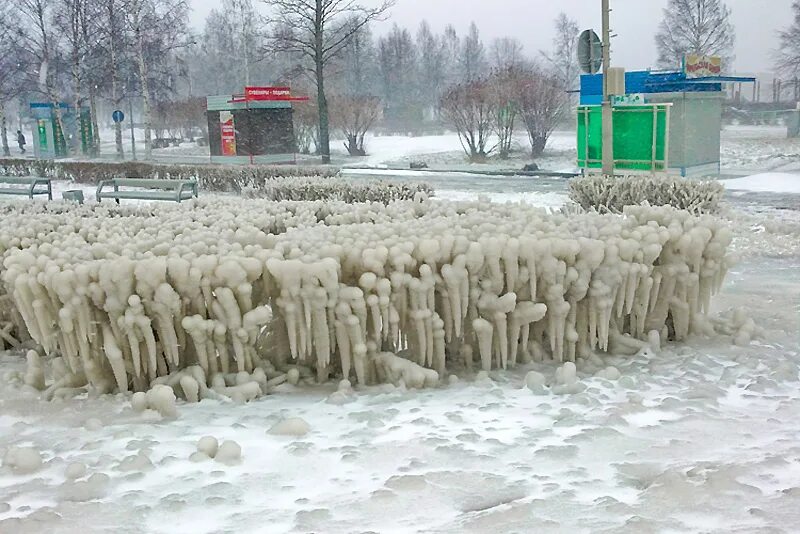 Перезимовали картинки прикольные. Приколы про зиму. Зимние приколы в картинках. Юмор зимой. Зима наступила приколы.