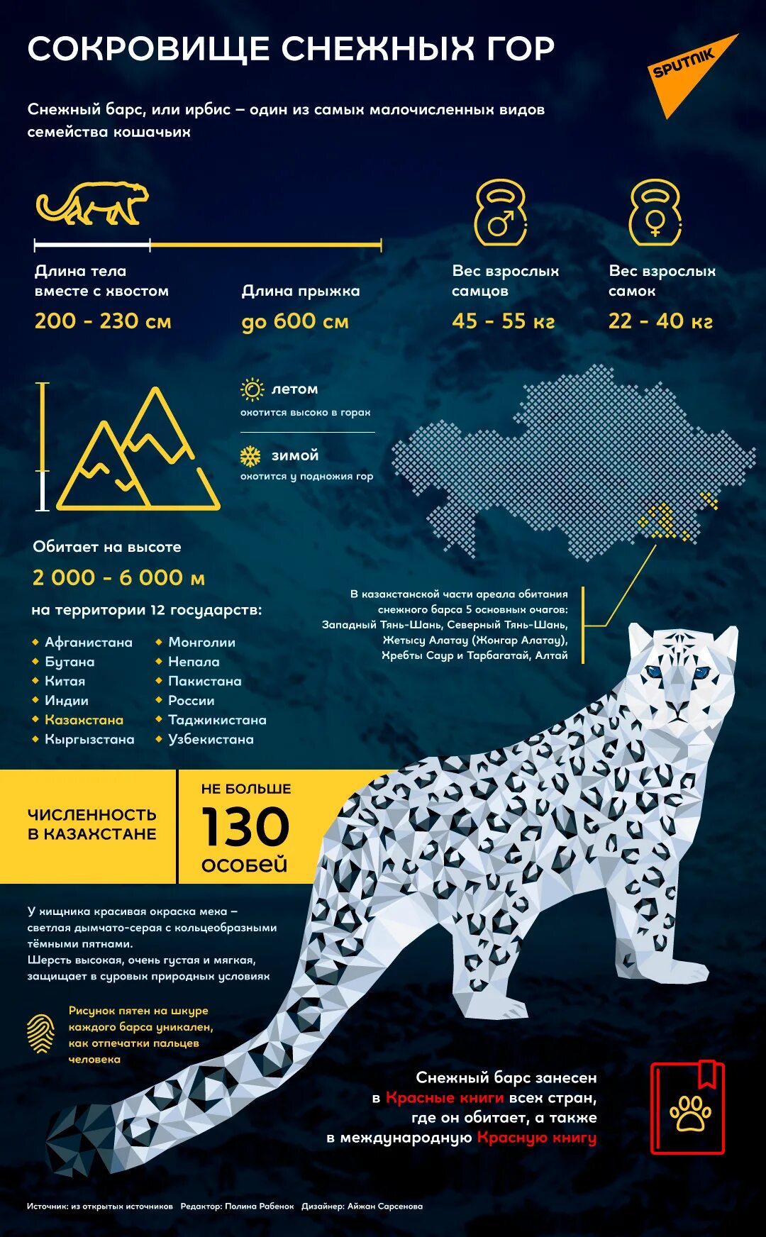 Поддержка сохранения численности снежного барса. Снежный Барс инфографика. Обитание снежного Барса на карте России. Казахстан снежный Барс Казахстан. Строение снежного Барса.