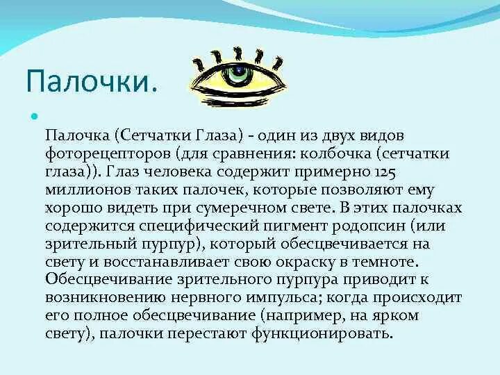Выберите верные характеристики палочек глаза. Функции палочек глаза человека. Характеристики палочек глаза. Палочки в глазу. Функция палочки зрения.