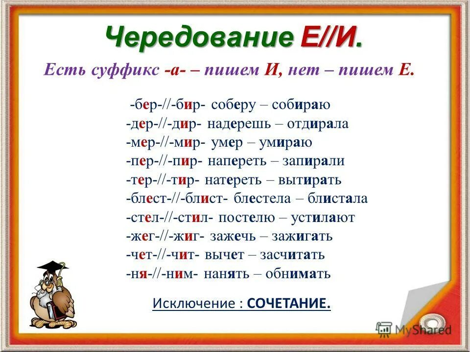 Тир дир