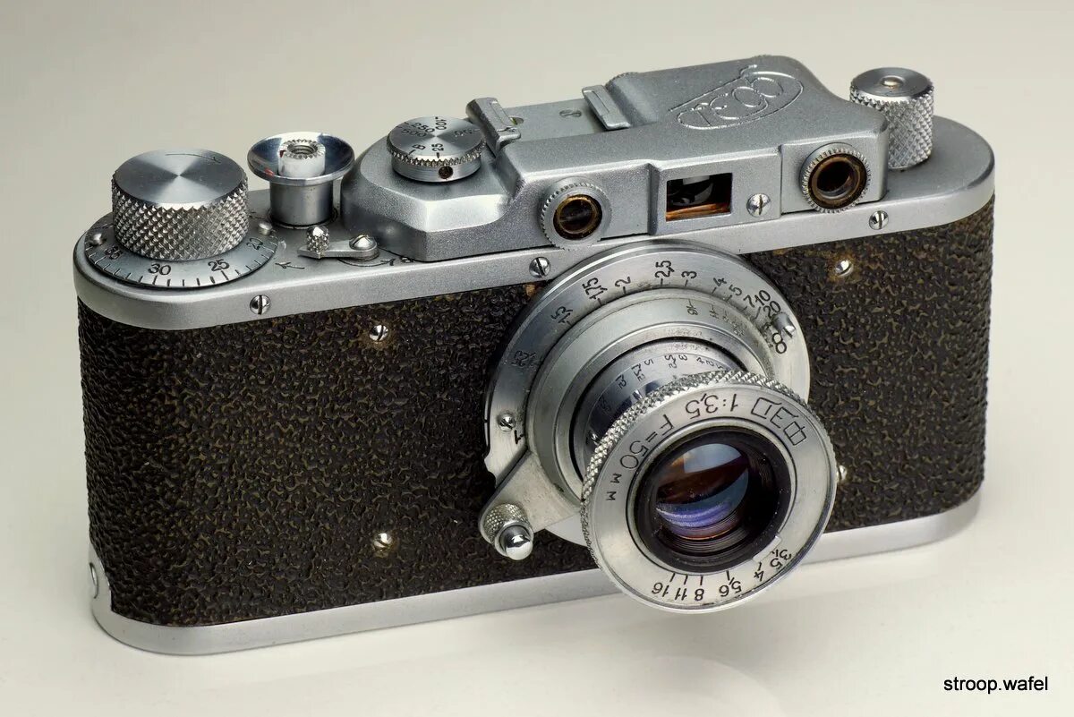 аляскинский маламут и хаски. лайка камера. фотоаппарат leica t typ 701. хаски обломихино. красивая лайка.