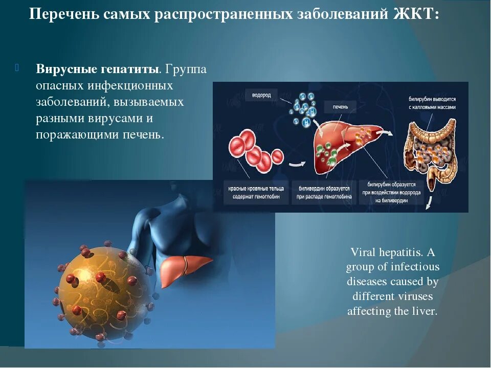 Заболевания ЖКТ список. Заболеваемость болезнями ЖКТ. Самые распространенные болезни ЖКТ. Кишечные инфекции вирусный гепатит