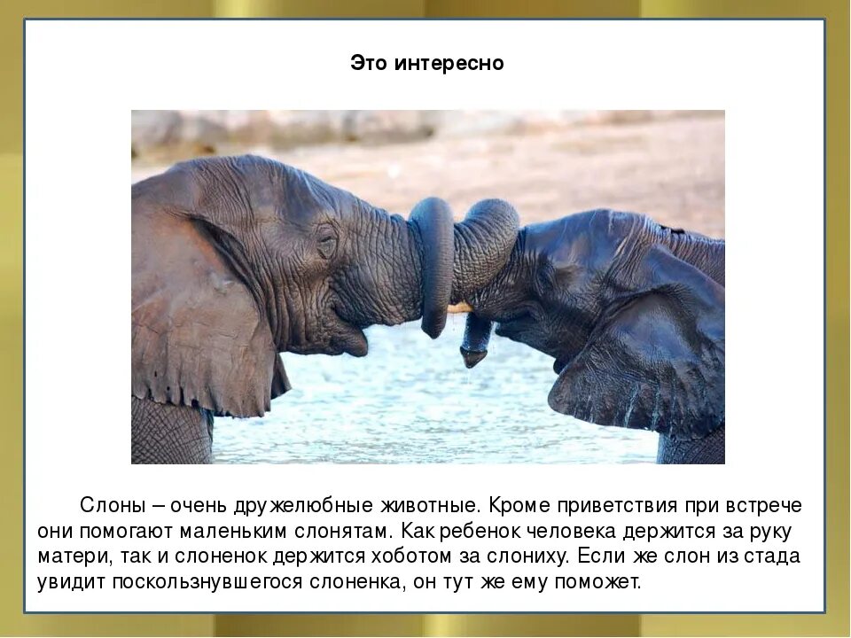 Три интересных факта