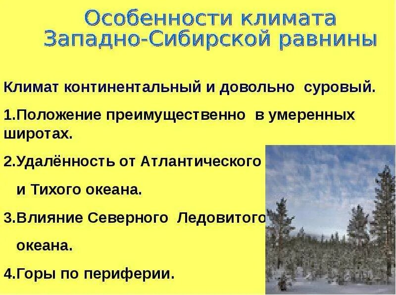 Природные особенности западно сибирской равнины. Климат Западно сибирской равнины. Западно Сибирская равнина особенности природы презентация. Характеристика климата Западно сибирской равнины. Особенности Западно сибирской равнины.