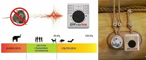Какую частоту боятся собаки
