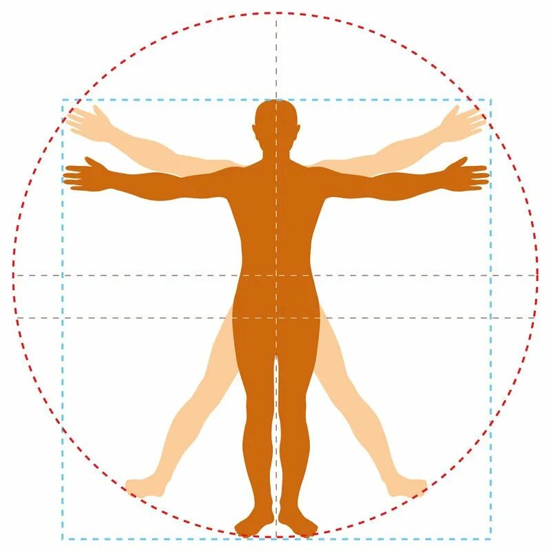 силуэт человека в круге. игры человек в круге. леонардо да винчи человек витрувианский пропорции. да винчи человек витрувианский вектор. леонардо да винчи витрувианский человек.