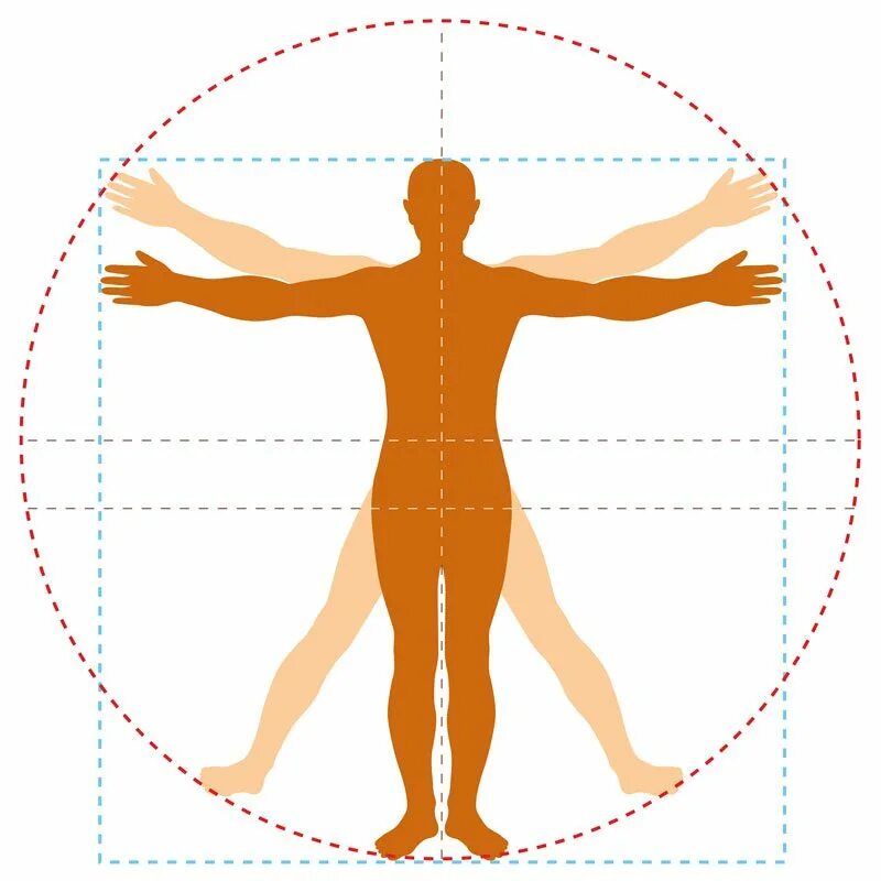 Человеческая сторона человека. Человек в круге. Симметрия человеческого тела. Силуэт человека в круге. Символ человек в круге.