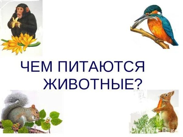 Детские стишки про "Купание". Сохраняйте и не потеряйте!)) Буль,... Интересный к