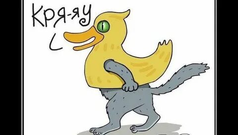 Кот оказался