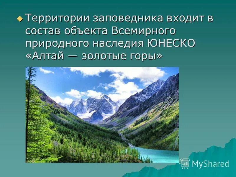 Алтайский заповедник. Презентация на тему Алтайский заповедник. Заповедники презентация. Золотые горы Алтая заповедник.