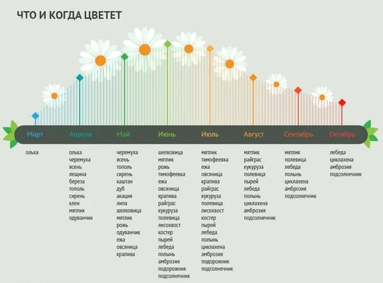 Сколько осталось в начало июля. Календарь цветения растений. Календарь аллергика. Период цветения растений для аллергиков. Календарь цветения для аллергиков.