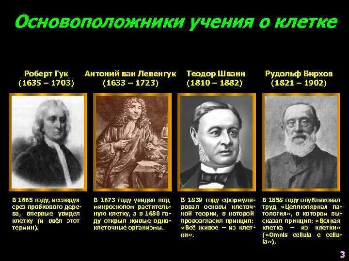 С именем какого ученого связано