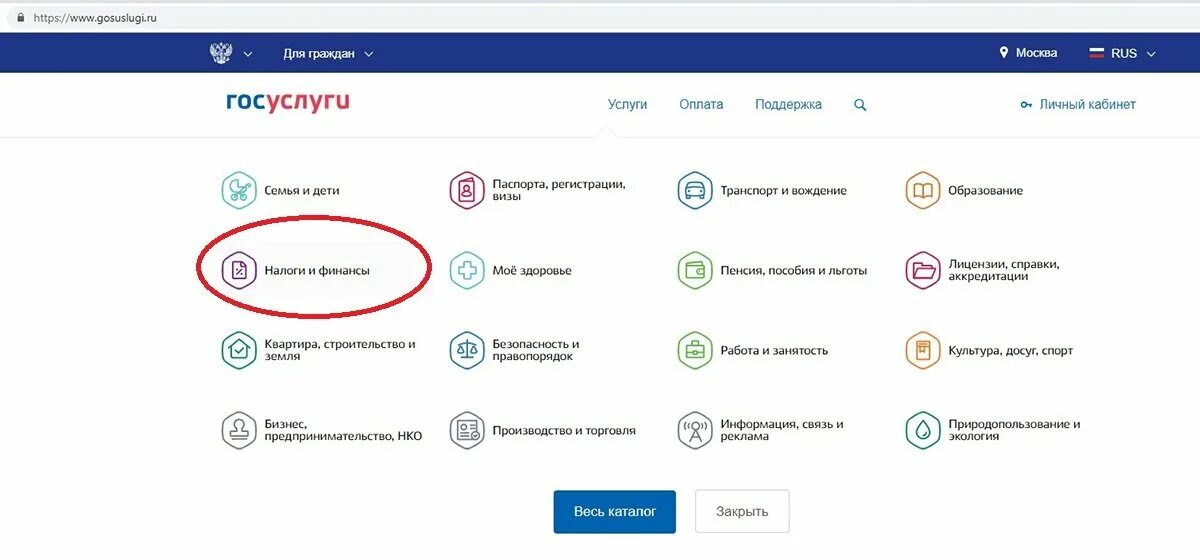 Gosuslugi ru 621102 1 form. Госуслуги подача заявления. Госуслуги форма. Госуслуги образование. Заявление через госуслуги.