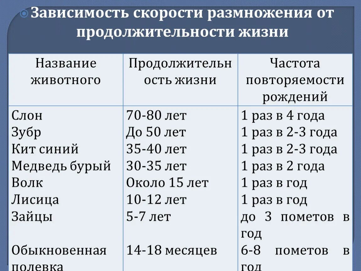 Средняя Продолжительность жизни животных таблица. Продолжительность жизни диких животных таблица. Длительность жизни животных в таблице. Продолжительность жизни животных 1 класс таблица. Активная продолжительность жизни