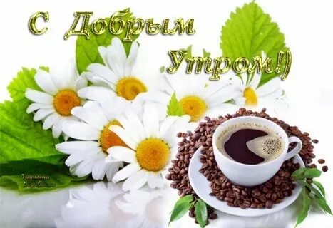 Доброе утро с ромашками с надписями