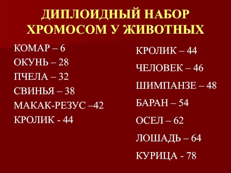 Диплоидный набор хромосом человека. Диплоидный набор хромосом у животных. Диплоидное число хромосом у человека. Диплоидный набор.